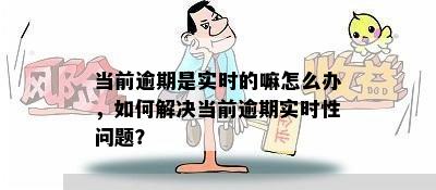 当前逾期是实时的嘛怎么办，如何解决当前逾期实时性问题？