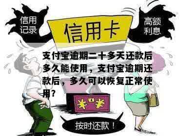 支付宝逾期二十多天还款后多久能使用，支付宝逾期还款后，多久可以恢复正常使用？