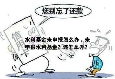 水利基金未申报怎么办，未申报水利基金？该怎么办？