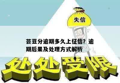 芸豆分逾期多久上征信？逾期后果及处理方式解析