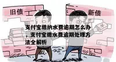 支付宝缴纳水费逾期怎么办，支付宝缴水费逾期处理方法全解析