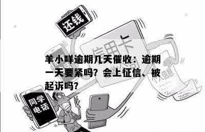 羊小咩逾期几天催收：逾期一天要紧吗？会上征信、被起诉吗？