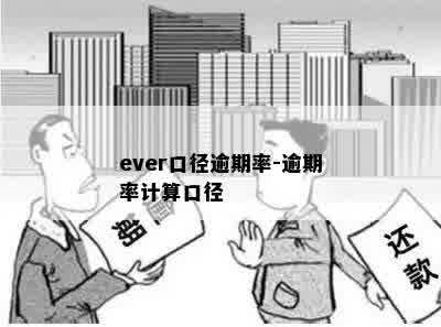 ever口径逾期率-逾期率计算口径