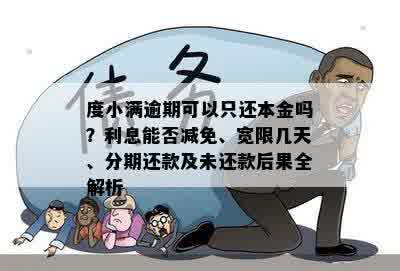 度小满逾期可以只还本金吗？利息能否减免、宽限几天、分期还款及未还款后果全解析