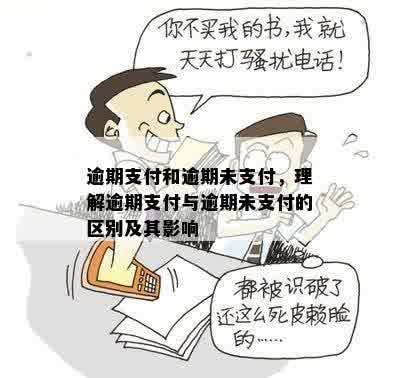 逾期支付和逾期未支付，理解逾期支付与逾期未支付的区别及其影响