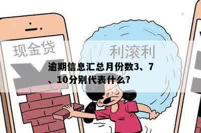 逾期信息汇总月份数3、7、10分别代表什么？