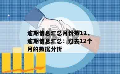 逾期信息汇总月份数12，逾期信息汇总：过去12个月的数据分析