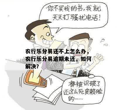 农行乐分易还不上怎么办，农行乐分易逾期未还，如何解决？