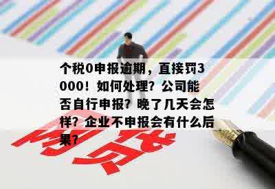 个税0申报逾期，直接罚3000！如何处理？公司能否自行申报？晚了几天会怎样？企业不申报会有什么后果？