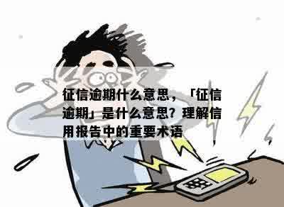 征信逾期什么意思，「征信逾期」是什么意思？理解信用报告中的重要术语