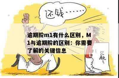 逾期阶m1有什么区别，M1与逾期阶的区别：你需要了解的关键信息