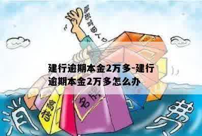 建行逾期本金2万多-建行逾期本金2万多怎么办