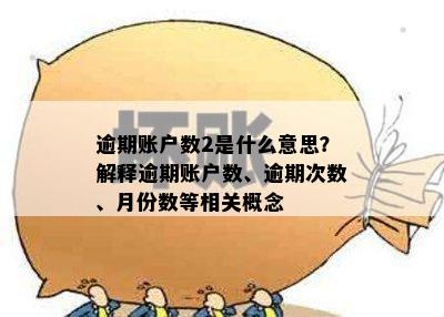 逾期账户数2是什么意思？解释逾期账户数、逾期次数、月份数等相关概念