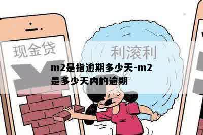 m2是指逾期多少天-m2是多少天内的逾期