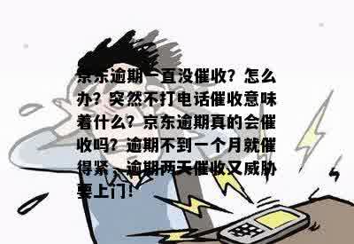 京东逾期一直没催收？怎么办？突然不打电话催收意味着什么？京东逾期真的会催收吗？逾期不到一个月就催得紧，逾期两天催收又威胁要上门！