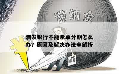 浦发银行不能账单分期怎么办？原因及解决办法全解析