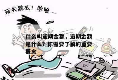 什么叫逾期金额，逾期金额是什么？你需要了解的重要概念