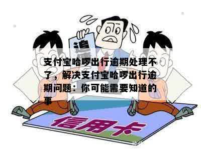 支付宝哈啰出行逾期处理不了，解决支付宝哈啰出行逾期问题：你可能需要知道的事