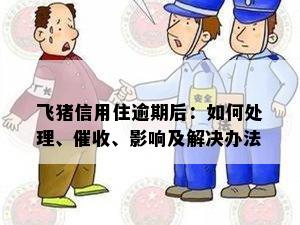 飞猪信用住逾期后：如何处理、催收、影响及解决办法