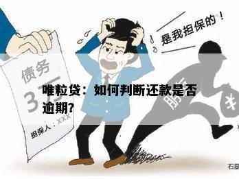 唯粒贷：如何判断还款是否逾期？