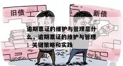 逾期票证的维护与管理是什么，逾期票证的维护与管理：关键策略和实践