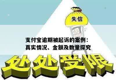 支付宝逾期被起诉的案例：真实情况、金额及数量探究