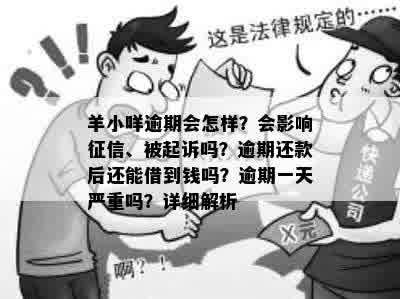 羊小咩逾期会怎样？会影响征信、被起诉吗？逾期还款后还能借到钱吗？逾期一天严重吗？详细解析