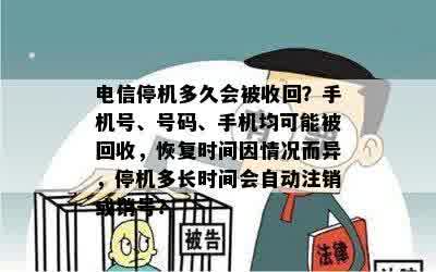 电信停机多久会被收回？手机号、号码、手机均可能被回收，恢复时间因情况而异，停机多长时间会自动注销或销号？