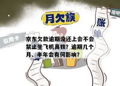 京东欠款逾期没还上会不会禁止坐飞机高铁？逾期几个月、半年会有何影响？