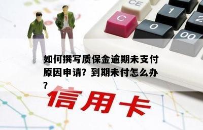 如何撰写质保金逾期未支付原因申请？到期未付怎么办？