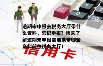 逾期未申报去税务大厅带什么资料，忘记申报？快来了解逾期未申报需要携带哪些资料前往税务大厅！