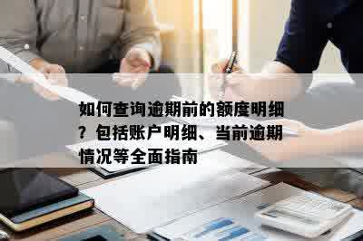 如何查询逾期前的额度明细？包括账户明细、当前逾期情况等全面指南