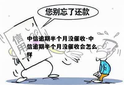 中信逾期半个月没催收-中信逾期半个月没催收会怎么样