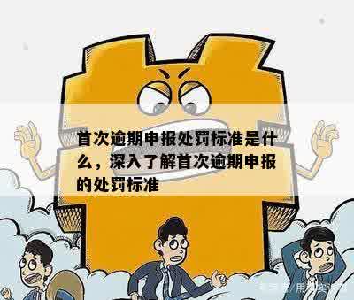 首次逾期申报处罚标准是什么，深入了解首次逾期申报的处罚标准