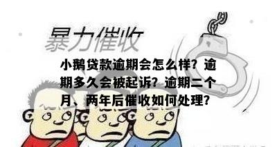 小鹅贷款逾期会怎么样？逾期多久会被起诉？逾期二个月、两年后催收如何处理？