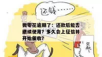 微零花逾期了：还款后能否继续使用？多久会上征信并开始催收？