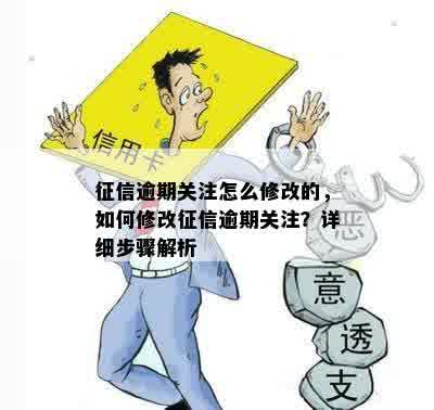 征信逾期关注怎么修改的，如何修改征信逾期关注？详细步骤解析