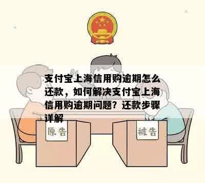 支付宝上海信用购逾期怎么还款，如何解决支付宝上海信用购逾期问题？还款步骤详解