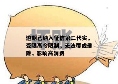 逾期已纳入征信第二代实，受限高令限制，无法覆或删除，影响高消费