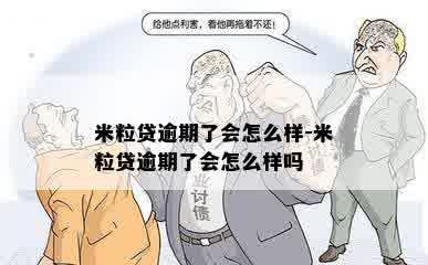 米粒贷逾期了会怎么样-米粒贷逾期了会怎么样吗