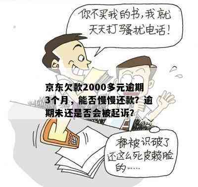 京东欠款2000多元逾期3个月，能否慢慢还款？逾期未还是否会被起诉？