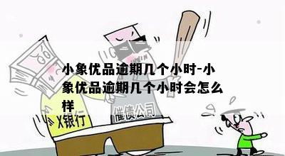 小象优品逾期几个小时-小象优品逾期几个小时会怎么样