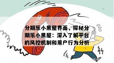 分期乐小黑屋界面，探秘分期乐小黑屋：深入了解平台的风控机制和用户行为分析