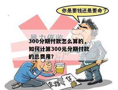 300分期付款怎么算的，如何计算300元分期付款的总费用？