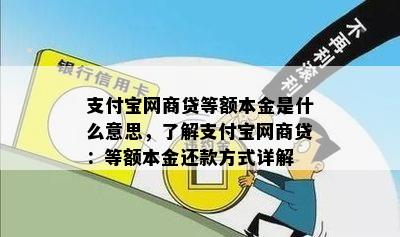 支付宝网商贷等额本金是什么意思，了解支付宝网商贷：等额本金还款方式详解