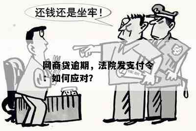 网商贷逾期，法院发支付令：如何应对？