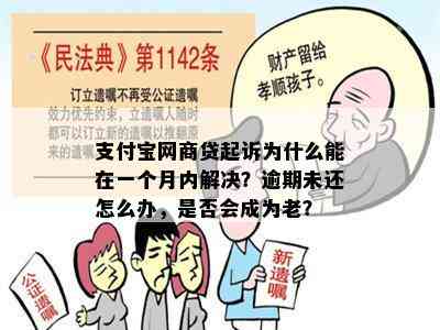 支付宝网商贷起诉为什么能在一个月内解决？逾期未还怎么办，是否会成为老？