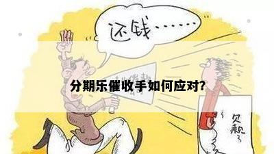 分期乐催收手如何应对？