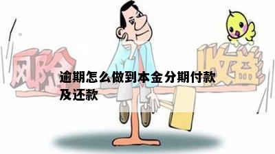 逾期怎么做到本金分期付款及还款