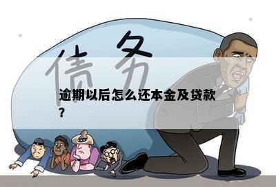 逾期以后怎么还本金及贷款？